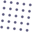 Aram Seivom Foundation